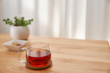 リビングで過ごす午後_紅茶とクッキーと観葉植物