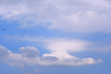 真っ青な空に浮かぶ真っ白な雲