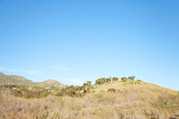 カリフォルニアの景色