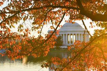 Jefferson Memorial during autumn - Washington D.C. United States of America