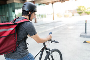 Young Delivery Man Using Mobile Phone On Bicycle