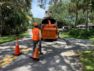 Arborist cleaning up after trimming dangerous tree branches over power lines.