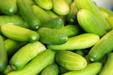 cucumbers in the market