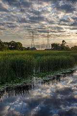 650-30 Power Line Sunrise DesPlaines River Backwater
