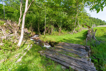 Pont en bois