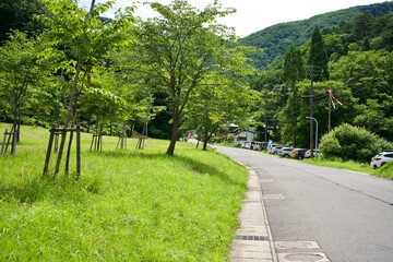The path to the top of mountain in summer.
It is Yamagata Japan.