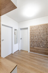 Fototapeta premium Interior of modern hall in flat