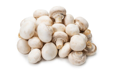 Champignon mushroom isolated on white background.