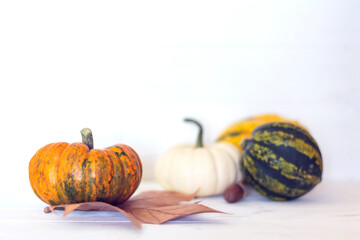 Variety of pumpkins and autumnal leaf on white background