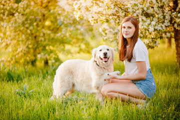 Dog Labrador Retriever executes command to give paw owner, summer park