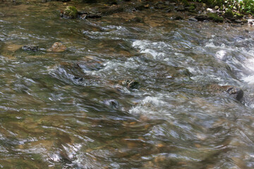 Cascading stream over rocks