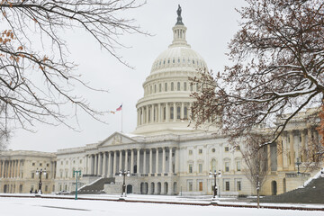 Fototapeta U.S. Capitol Building in the snow - Washington D.C. United States of America obraz