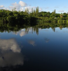 Clouds and trees over the reflective lake