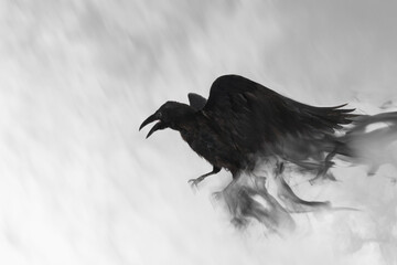Black raven flying through mist, fantasy image © New Africa