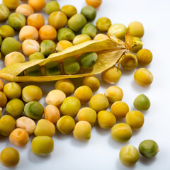 harvesting ripe peas