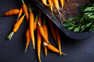 a lot of young carrots on a dark background, a fresh root vegetable on the table at the Vigetorian