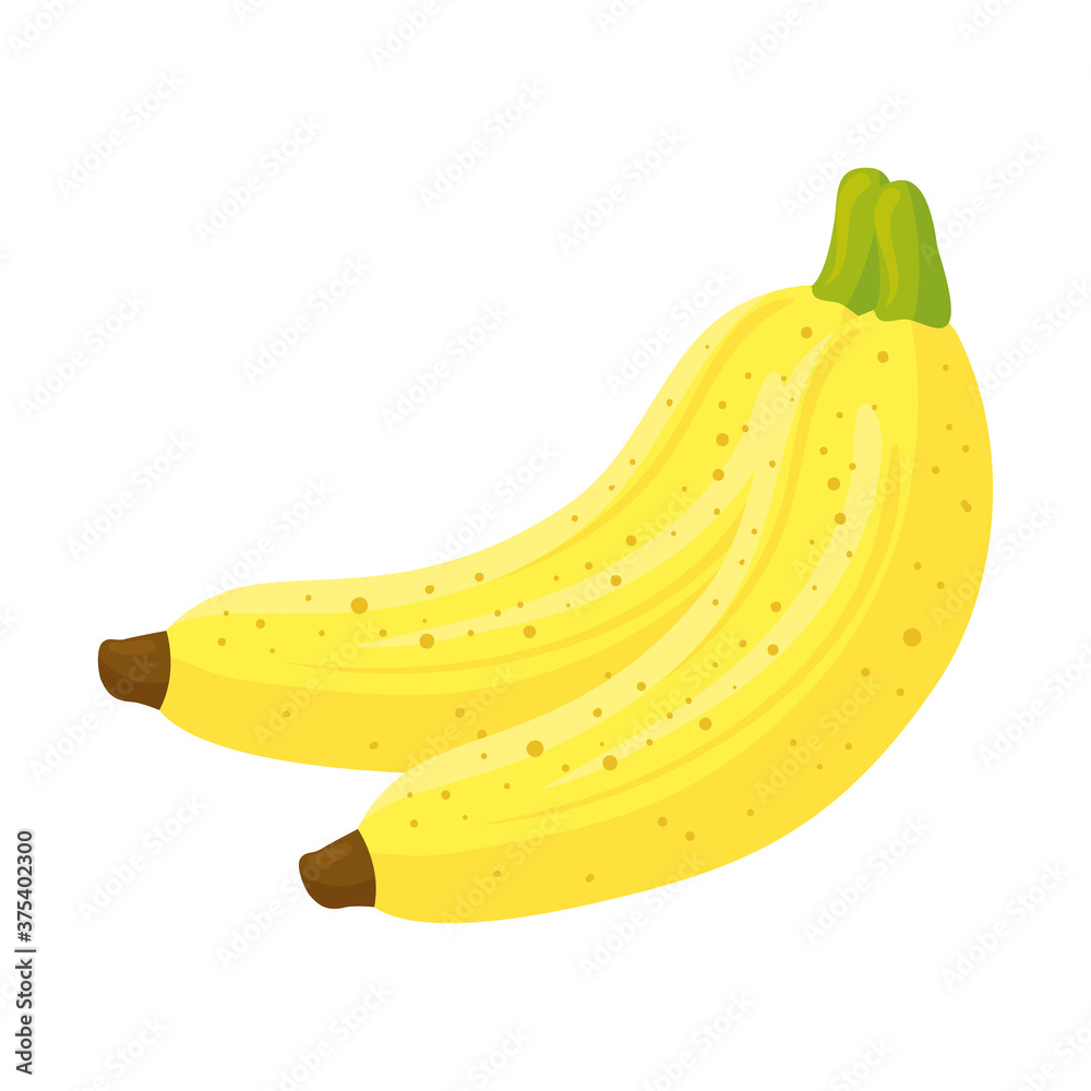 Sticker fresh bananas fruits, in white background vector illustration design