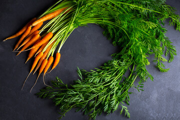 a lot of young carrots on a dark background, a fresh root vegetable on the table at the Vigetorian - 375402382