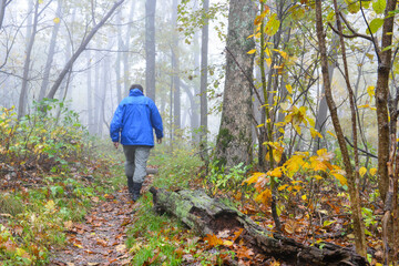 man walking in an autumn forest in a foggy day