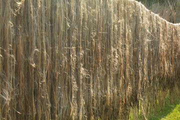 Close up of jute fabric, fibers hanging down for drying in direct sunlight, selective focusing