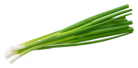 Green onion, fresh chives isolated on white background