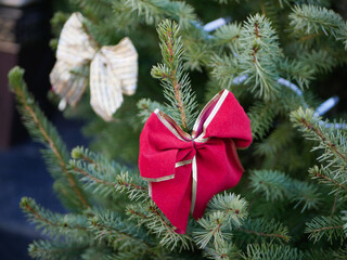 red and white bows on the tree