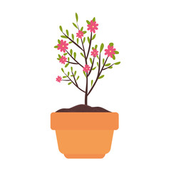 house pot plant with flowers on white background vector illustration design