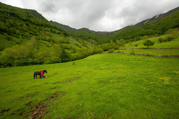 Fototapeta na wymiar Paysage de montagne, pyrénées centrale, france, ariège