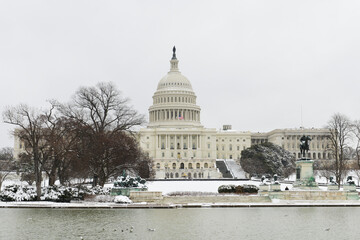 Fototapeta premium United States Capitol Building in snow - Washington D.C. during wintertime - Washington D.C. United States of America
