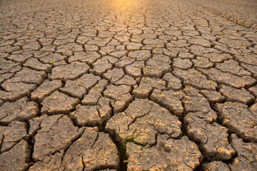 The ground in the field that was so barren that it was parched And the evening sun