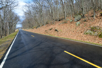 Fototapeta premium Autumn foliage in Shenandoah National Park - Virginia, USA