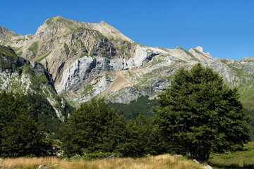 Pyrenees mountain landscape