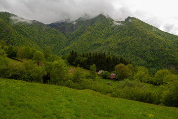 Fototapeta premium Paysage de montagne, pyrénées centrale, france, ariège