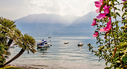  Lago Maggiore Ascona Schweiz