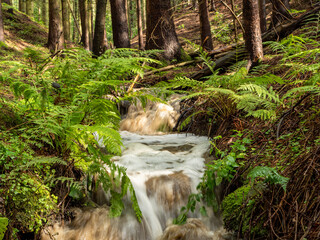 ein fluss im Vogtland Ostdeutschland