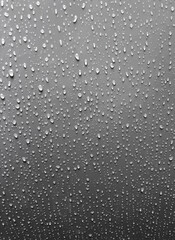 water drops black white background gray nature rain