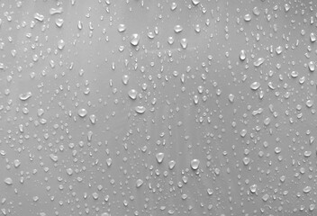 water drops black white background gray nature rain