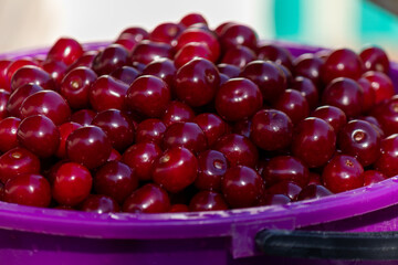 Background or texture of freshly picked red cherries. Various shades of red. Natural vitamins. Natural background.