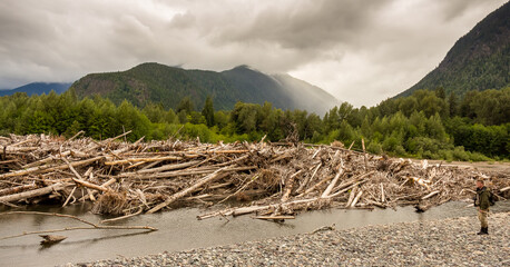 A man standing beside a very big log jam on a river in British Columbia, Canada