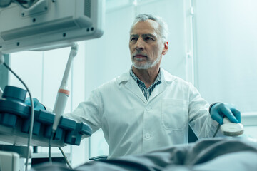 Looking at internal organs on the monitor of scanning apparatus