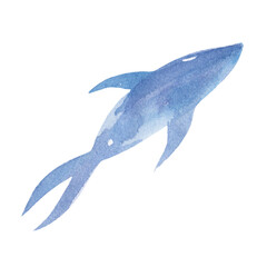 Watercolor drawing blue fish isolated on white background. Silhouette, seafood, underwater world, sea.