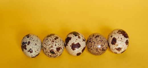 Five quail eggs lie in a row on a yellow background