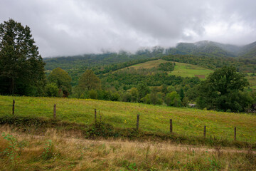 Fototapeta na wymiar rural area in mountains. misty september morning. empty fields on the hills. overcast sky