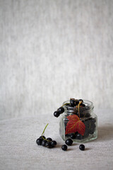Black currants in glass jar. Fresh berries with leaves and stems. Autumn harvesting. Organic food. Still life vertical photography with copy space