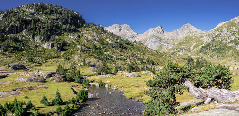 Panorama scenery with mountain river surrounded by French Pyrenees High mountains, National park,...
