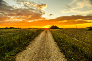 Fototapeta na wymiar Sunset or sunrise and the road through the field. Photo under retro style