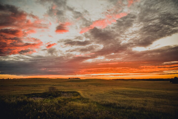 Naklejka na ściany i meble Sunset over the field beyond the horizon