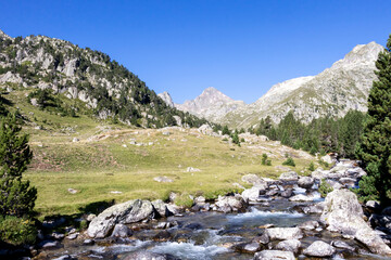 Mountain river in Marcadau Valley in the High French Pyrenees, near Cauterets, France, Europe