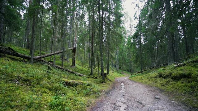 Outcrops of Devonian sandstone on the banks of Ahja river, Estonia. Slow motion 