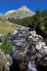 Fototapeta na wymiar Mountain river in Marcadau Valley in the High French Pyrenees, near Cauterets, France, Europe
